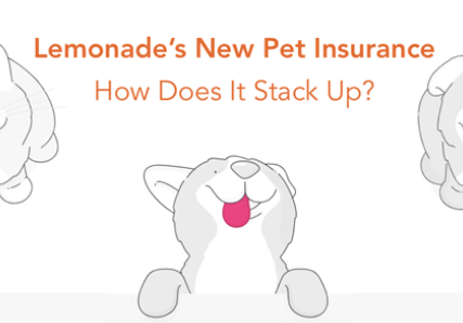 Lemonade Launches Pet Insurance