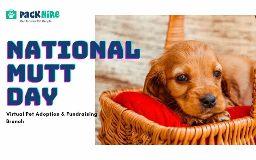 PackHire & LA Animal Services Partner in First Virtual Pet Adoption & Fundraising Brunch in Honor of National Mutt Day