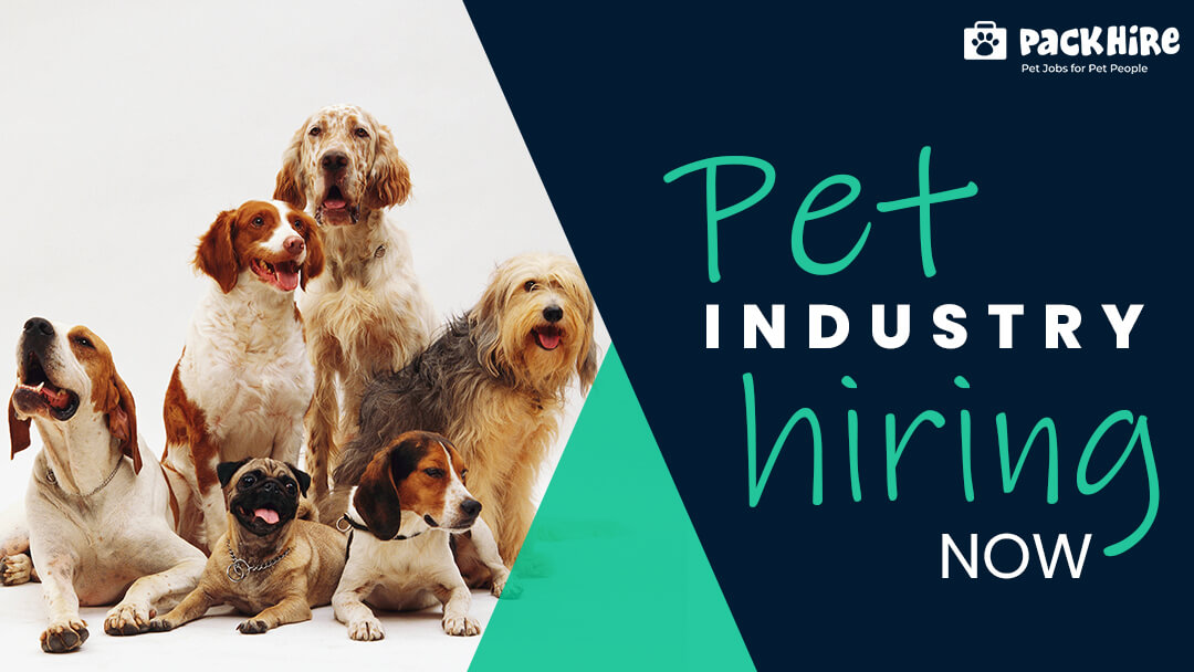 5 Pet Industry Job Segments that are Hiring Now