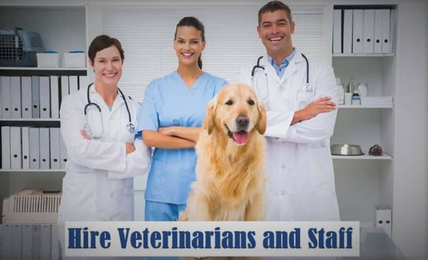 How to Hire Veterinarians and Staff for Your Veterinary Practice